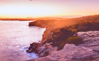 Exploring the Sydney’s Northern Beaches: 4 Easy Walks to consider.
